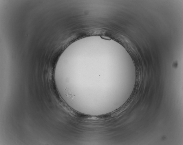 X0000097460326200802220813