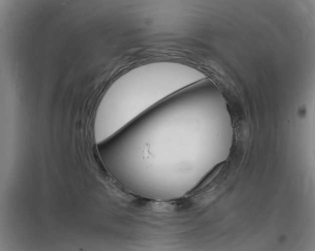 X0000097460327200802220813