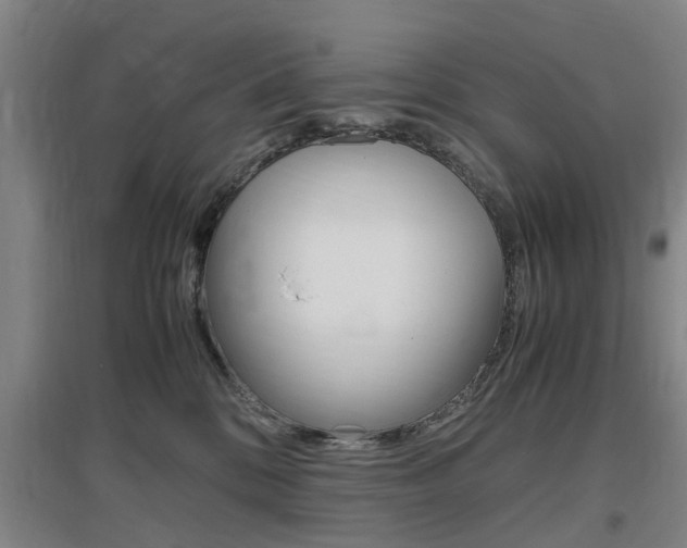 X0000097460328200802220813
