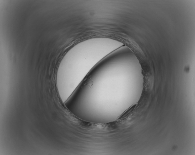 X0000097460329200802220813