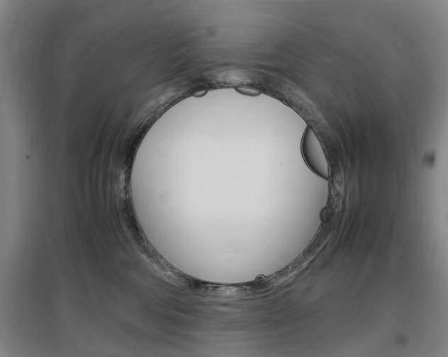 X0000097460330200802220813
