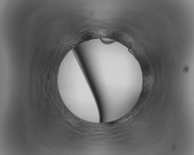 X0000097460331200802220813