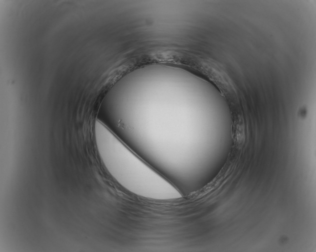 X0000097460332200802220813