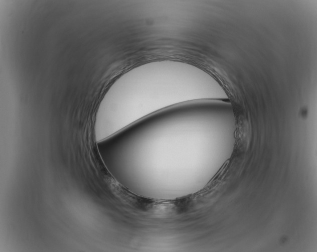 X0000097460333200802220813