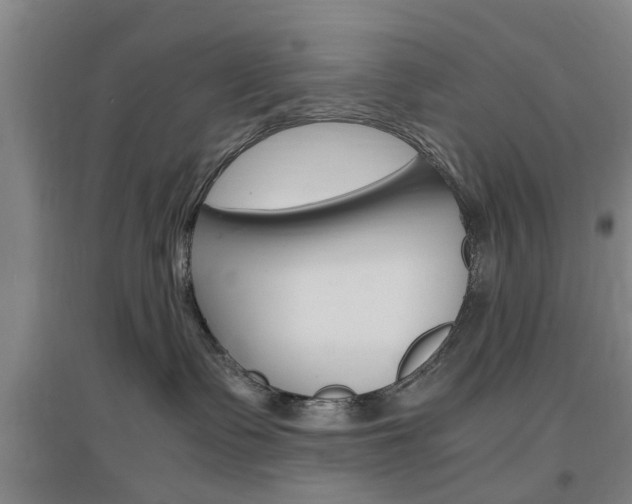 X0000097460335200802220813