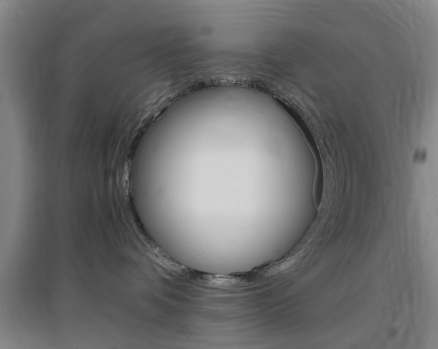 X0000097460336200802220813