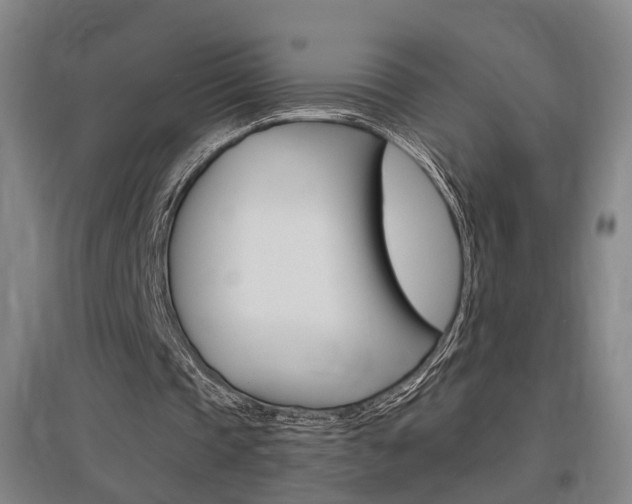 X0000097460337200802220812