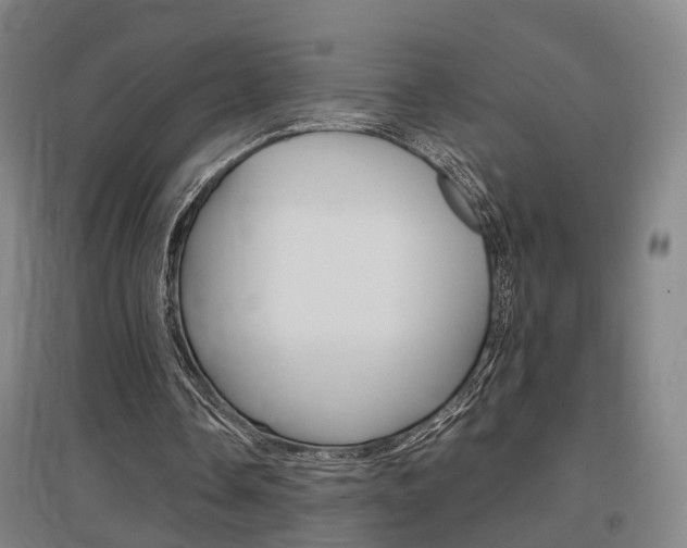 X0000097460338200802220812