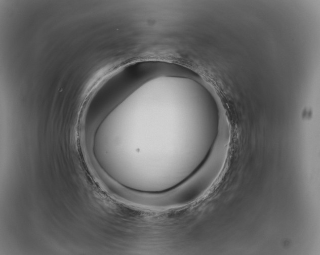 X0000097460340200802220812