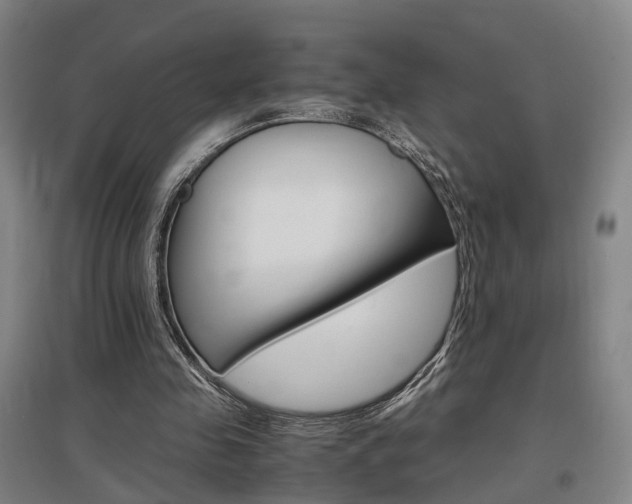 X0000097460341200802220812