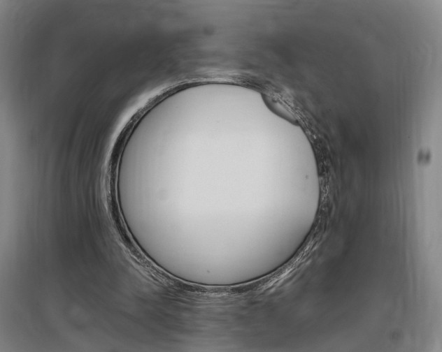 X0000097460342200802220812