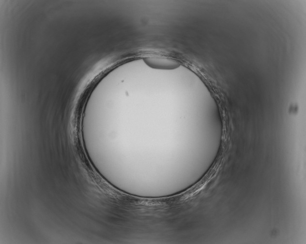 X0000097460343200802220812
