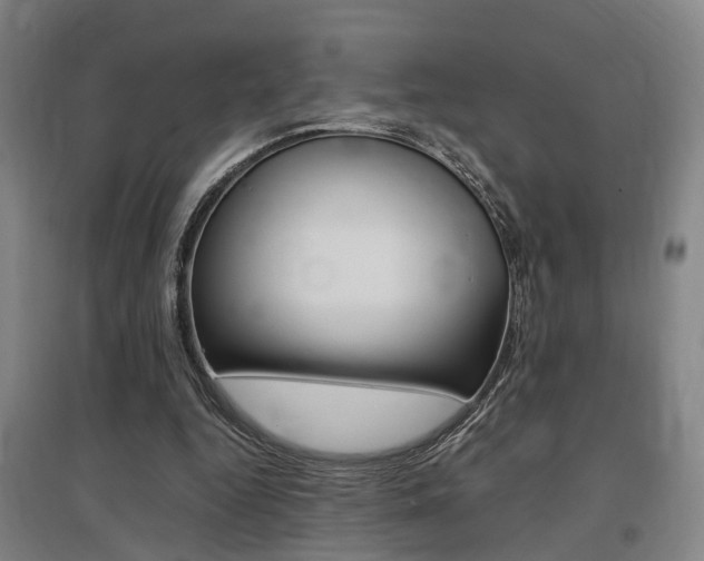 X0000097460344200802220812