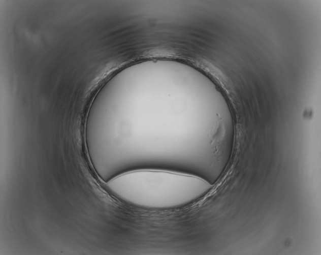 X0000097460345200802220812