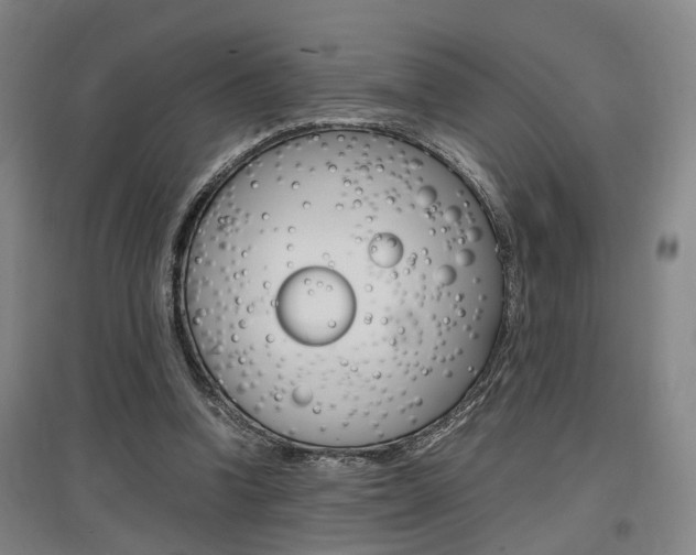 X0000097460346200802220812
