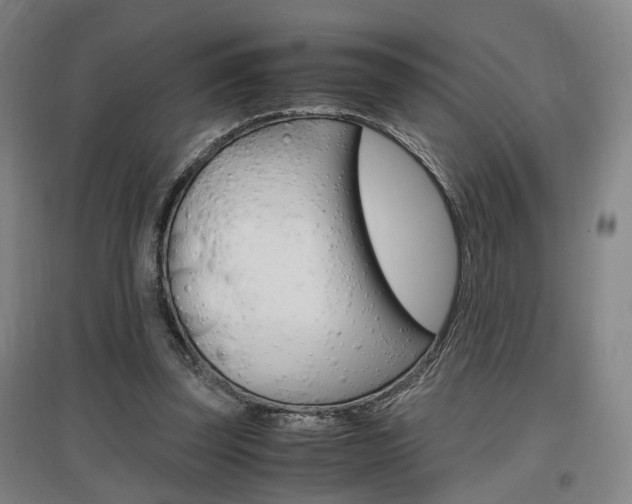 X0000097460347200802220812