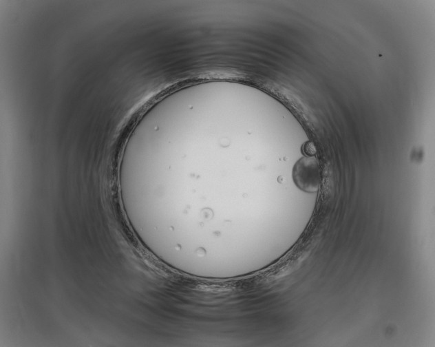 X0000097460351200802220812
