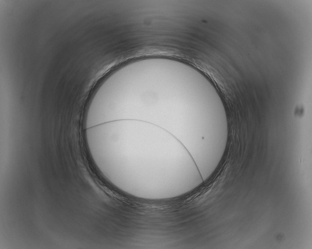 X0000097460352200802220812