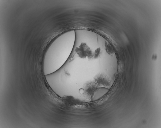 X0000097460353200802220812