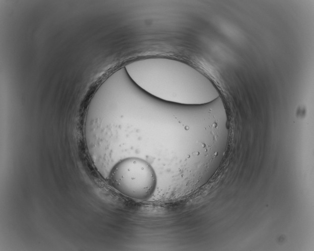 X0000097460354200802220812