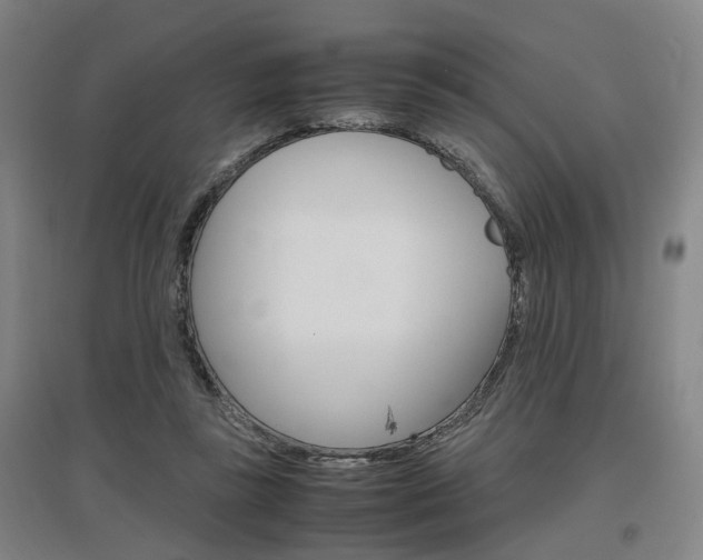 X0000097460355200802220812