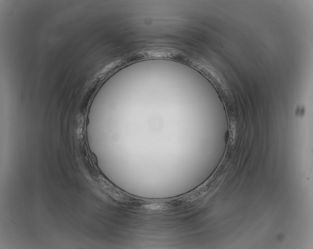X0000097460356200802220812