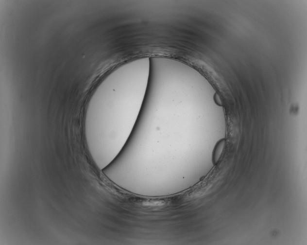 X0000097460357200802220812
