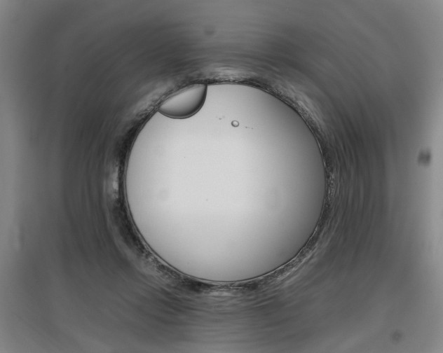 X0000097460358200802220812