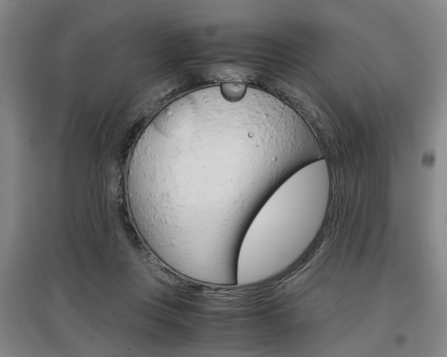 X0000097460359200802220812