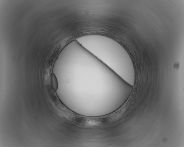 X0000097460360200802220812