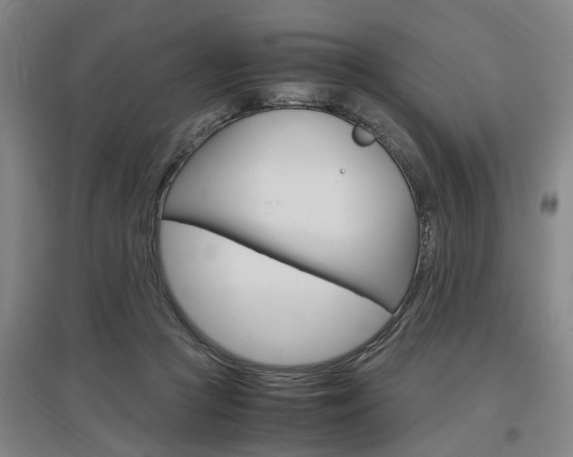 X0000097460361200802220812