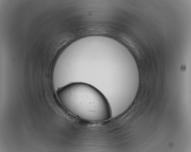 X0000097460362200802220812