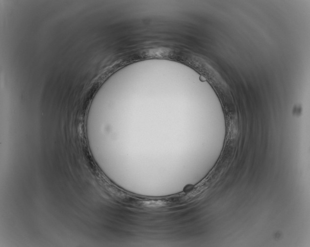 X0000097460363200802220812