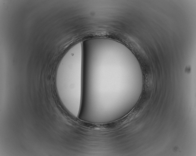 X0000097460364200802220812