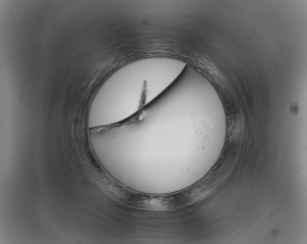 X0000097460365200802220812