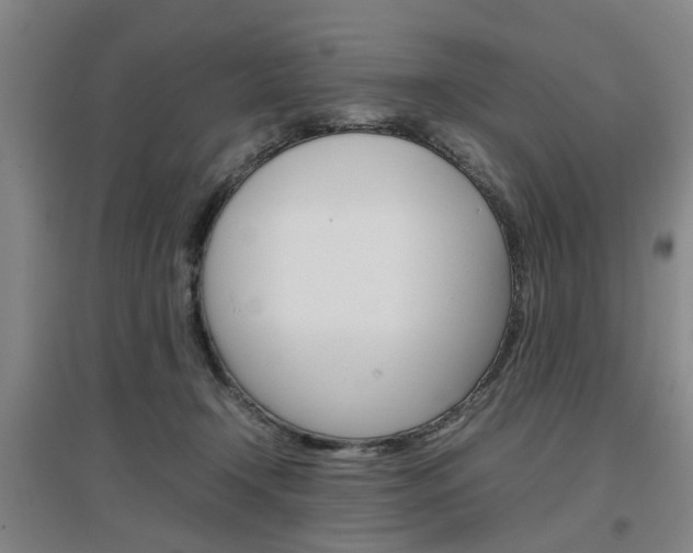 X0000097460366200802220812
