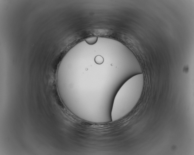 X0000097460367200802220812