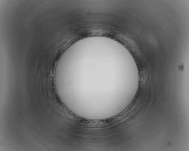 X0000097460369200802220812