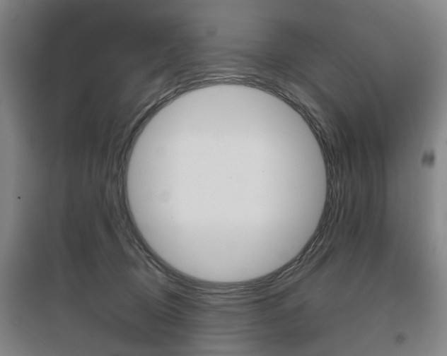 X0000097460370200802220812