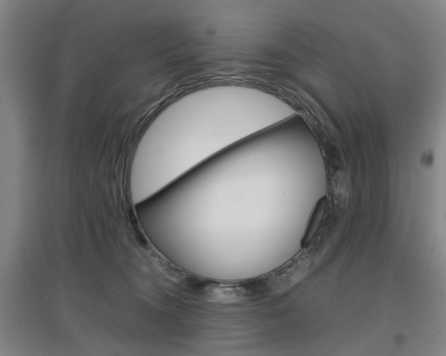 X0000097460372200802220812