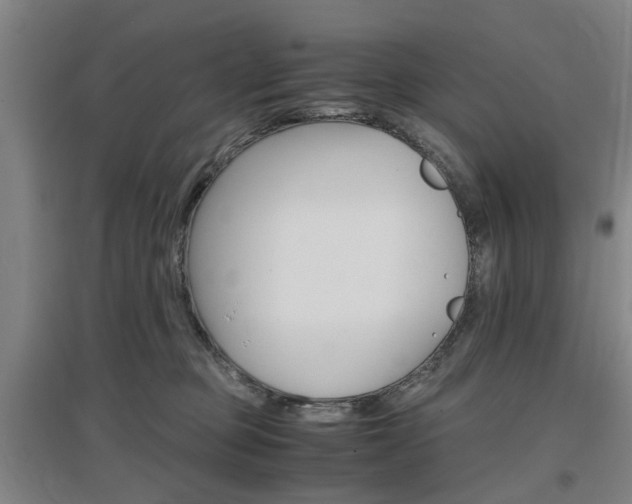 X0000097460373200802220812