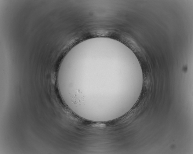 X0000097460374200802220812