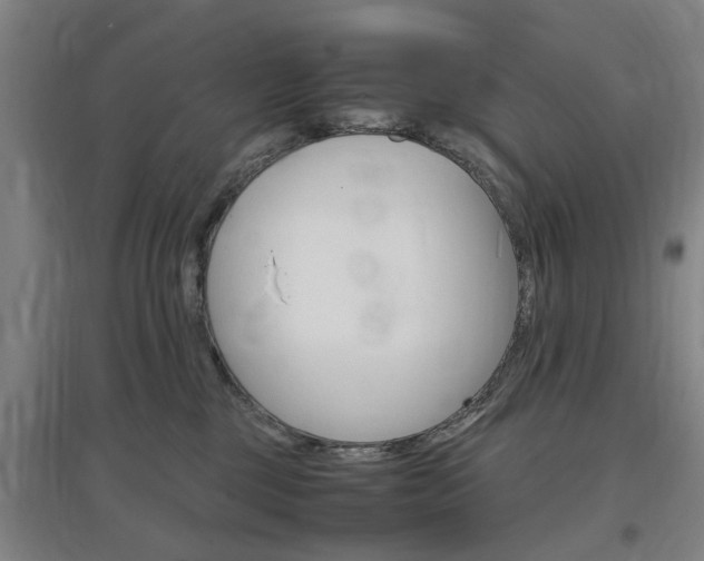 X0000097460377200802220812