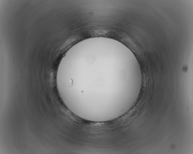 X0000097460378200802220812