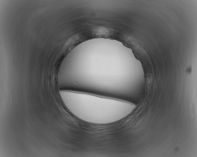 X0000097460379200802220812