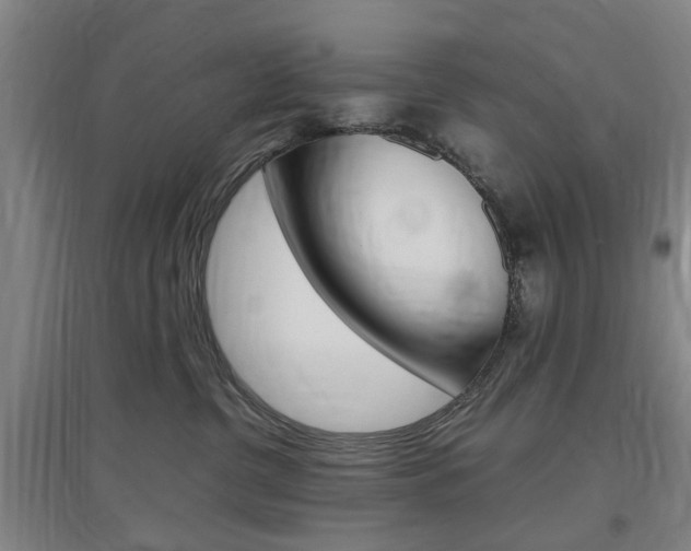 X0000097460380200802220812