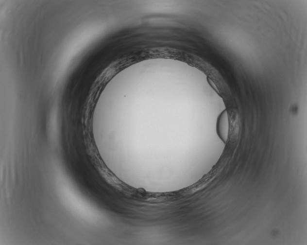 X0000097460381200802220812