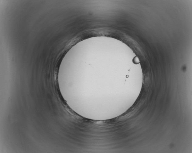 X0000097460382200802220812
