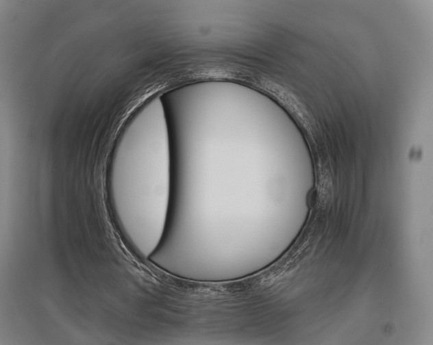 X0000097460386200802220812