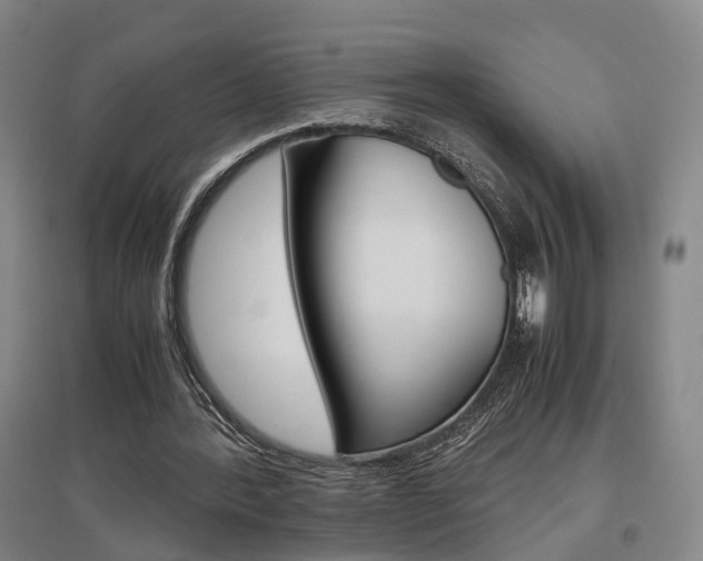X0000097460388200802220812